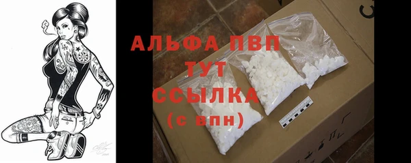 круглые Абаза